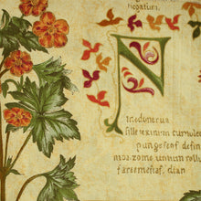 Load image into Gallery viewer, 100% Cotton Chin (Printed - 60")