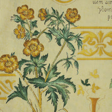 Load image into Gallery viewer, 100% Cotton Chin (Printed - 60")