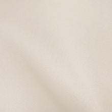 Load image into Gallery viewer, 100% Silk Satin Organza (Solid - 54")