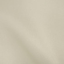 Load image into Gallery viewer, 100% Silk Satin Organza (Solid - 54")