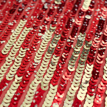 Load image into Gallery viewer, Sequin Mesh (Stripes - 52" to 56")