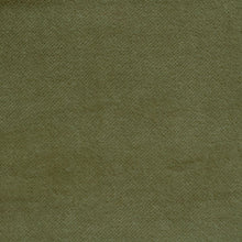 Load image into Gallery viewer, Cotton Velvet (Solid Greens - 60&quot;)