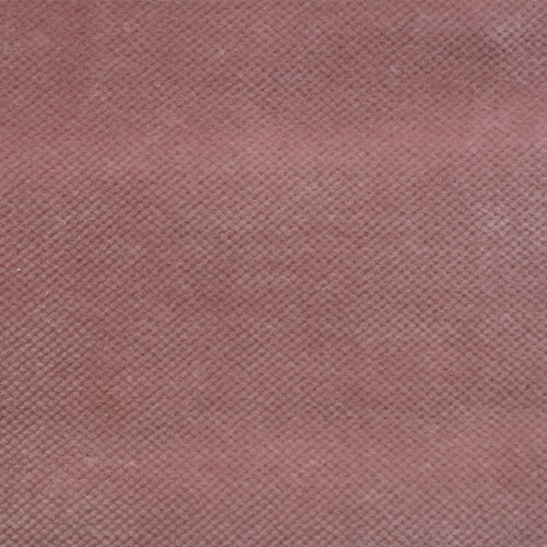 Cotton Velvet (Solid Pinks - 60