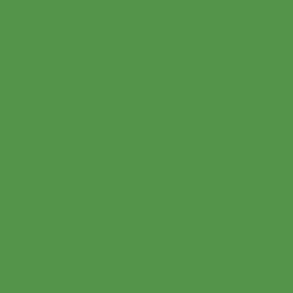 Satin Charmeuse (Solid Greens - 60