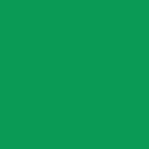 Satin Charmeuse (Solid Greens - 60")