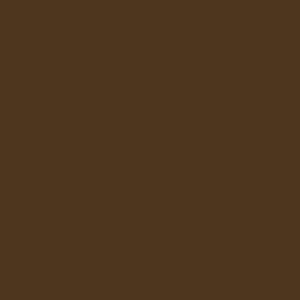 Satin Charmeuse (Solid Browns - 60")
