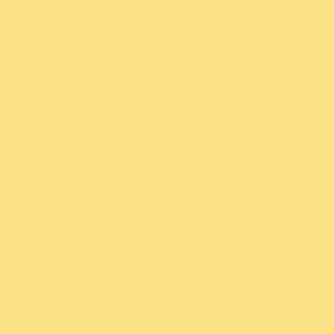 Satin Charmeuse (Solid Yellows - 60")